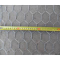 Galvanized Heavy Hexagonal Wire Mesh